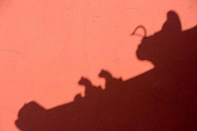 若干索尼PSN账户因不明原因被永久封号